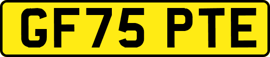 GF75PTE