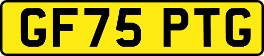 GF75PTG