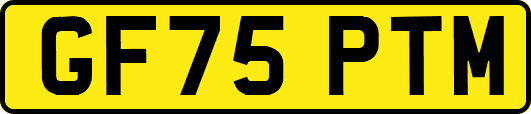 GF75PTM