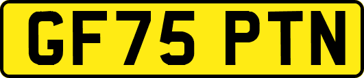 GF75PTN
