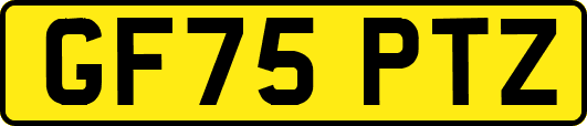 GF75PTZ