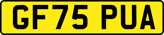 GF75PUA