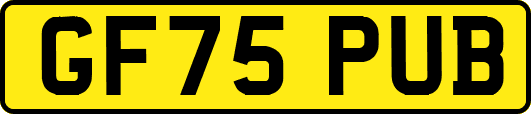 GF75PUB