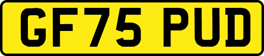 GF75PUD