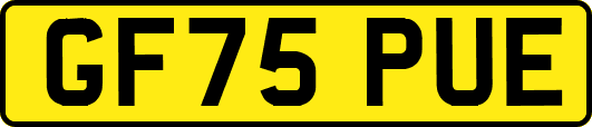 GF75PUE