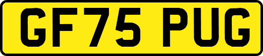 GF75PUG