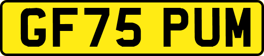 GF75PUM