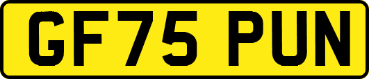 GF75PUN