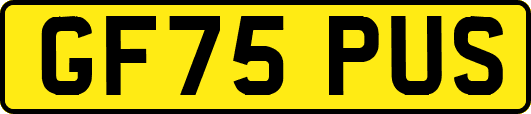 GF75PUS