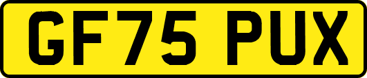 GF75PUX