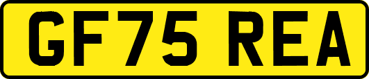 GF75REA