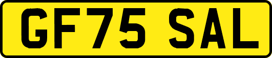 GF75SAL