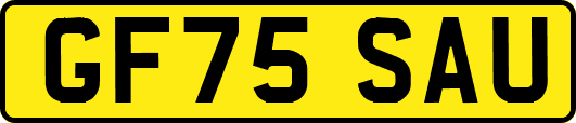GF75SAU
