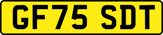 GF75SDT