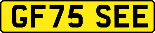 GF75SEE
