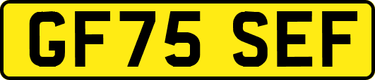 GF75SEF