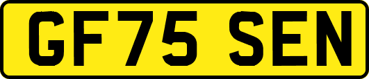 GF75SEN