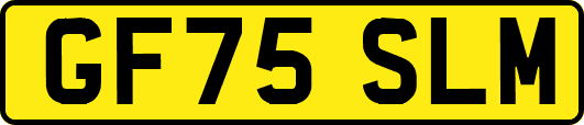 GF75SLM