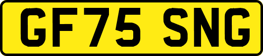 GF75SNG