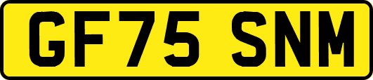 GF75SNM