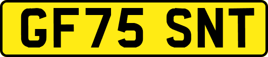 GF75SNT