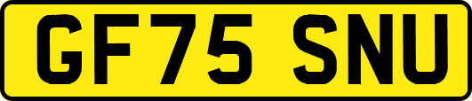 GF75SNU