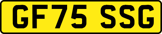 GF75SSG