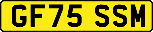 GF75SSM
