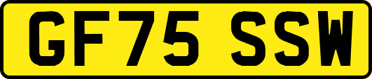 GF75SSW