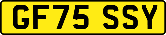 GF75SSY
