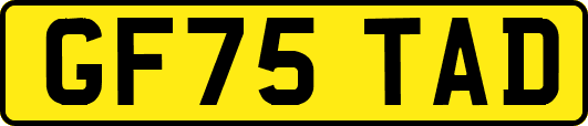 GF75TAD