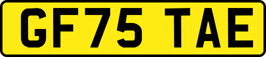 GF75TAE