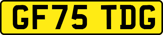 GF75TDG