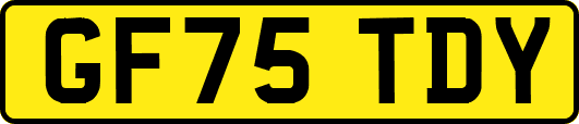 GF75TDY