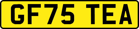 GF75TEA