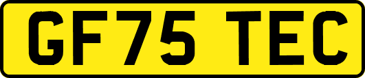 GF75TEC