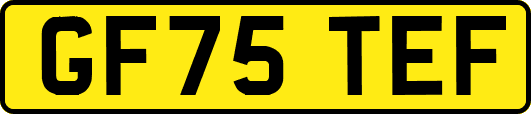 GF75TEF
