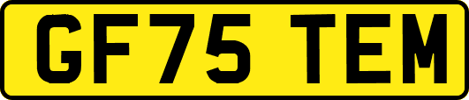 GF75TEM