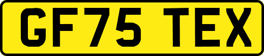 GF75TEX