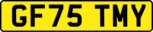 GF75TMY