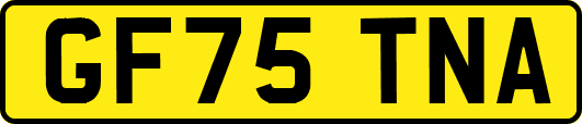 GF75TNA