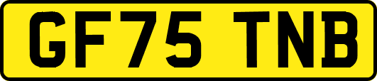 GF75TNB