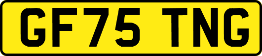 GF75TNG