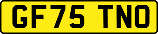 GF75TNO