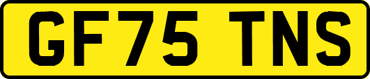 GF75TNS