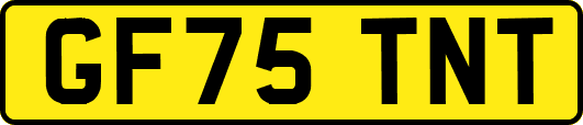 GF75TNT