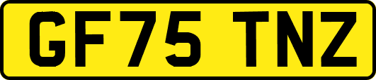 GF75TNZ