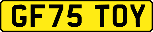 GF75TOY