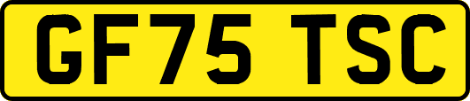 GF75TSC