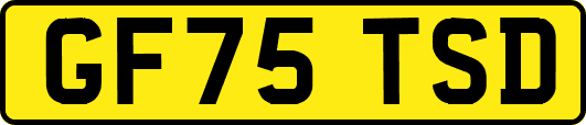 GF75TSD